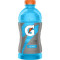 Gatorade Koel Blauw 28 Oz.