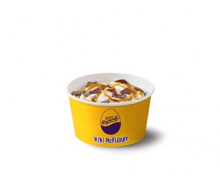 Cadbury Karamel Mini Mcflurry