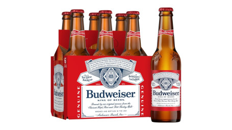 Budweiser-Fles 6Ct 12Oz