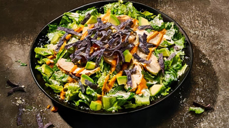 Nieuwe Southwest Caesar Salade Met Kip