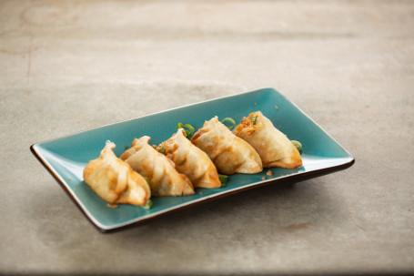 Vegetable Gyoza Dumplings Fried (V)