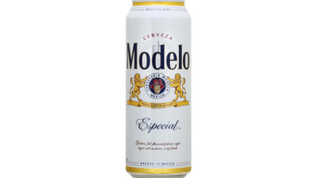 Modeloblikje 24Oz