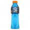 Gatorade Blauwe Bout 600Ml