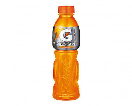 Gatorade Sinaasappelijs 600Ml