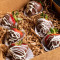 Plain Chocolate Dipped Strawberries