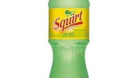 Squirt Bottle (20 Oz)