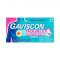 Gaviscon Double Action Mint Flavour Chewable Tablets 24 Tablets