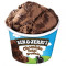 Ben Jerry's Chocolade Fudge Brownie 100Ml