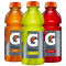 Gatorade-Fles Van 20 Oz