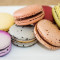 24 Macarons