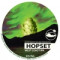 Hopset