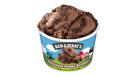 Chocolade Fudge Brownie Ben Jerrys 100Ml