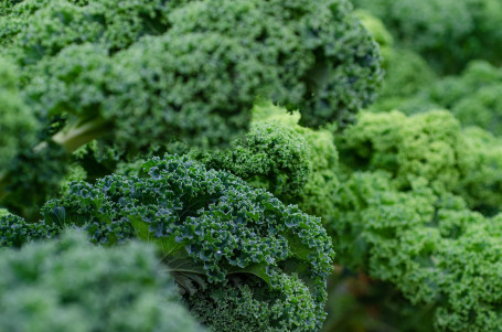 Kale Caesar