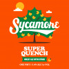 4. Super Quench Wheat Ale