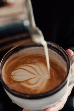 Suikerkoek Amandelmelk Latte