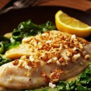 Tilapia Florentijns