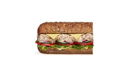 Tonijn En Mayo Subway Six Inch 174;