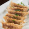 In De Pan Gebakken Varkens Gyoza Dumplings